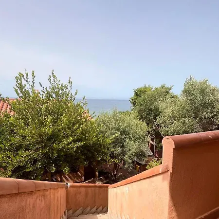 Il Ulivo